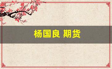 杨国良 期货(杨国良期货视频)_https://www.xzdzcjx.com_科创板_第1张